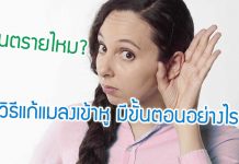 อันตรายไหม? วิธีแก้แมลงเข้าหู ปฐมพยาบาลอย่างไรดี แมลงถึงจะยอมออก